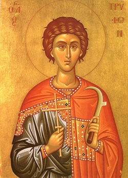 Image of St. Phocas the Gardener